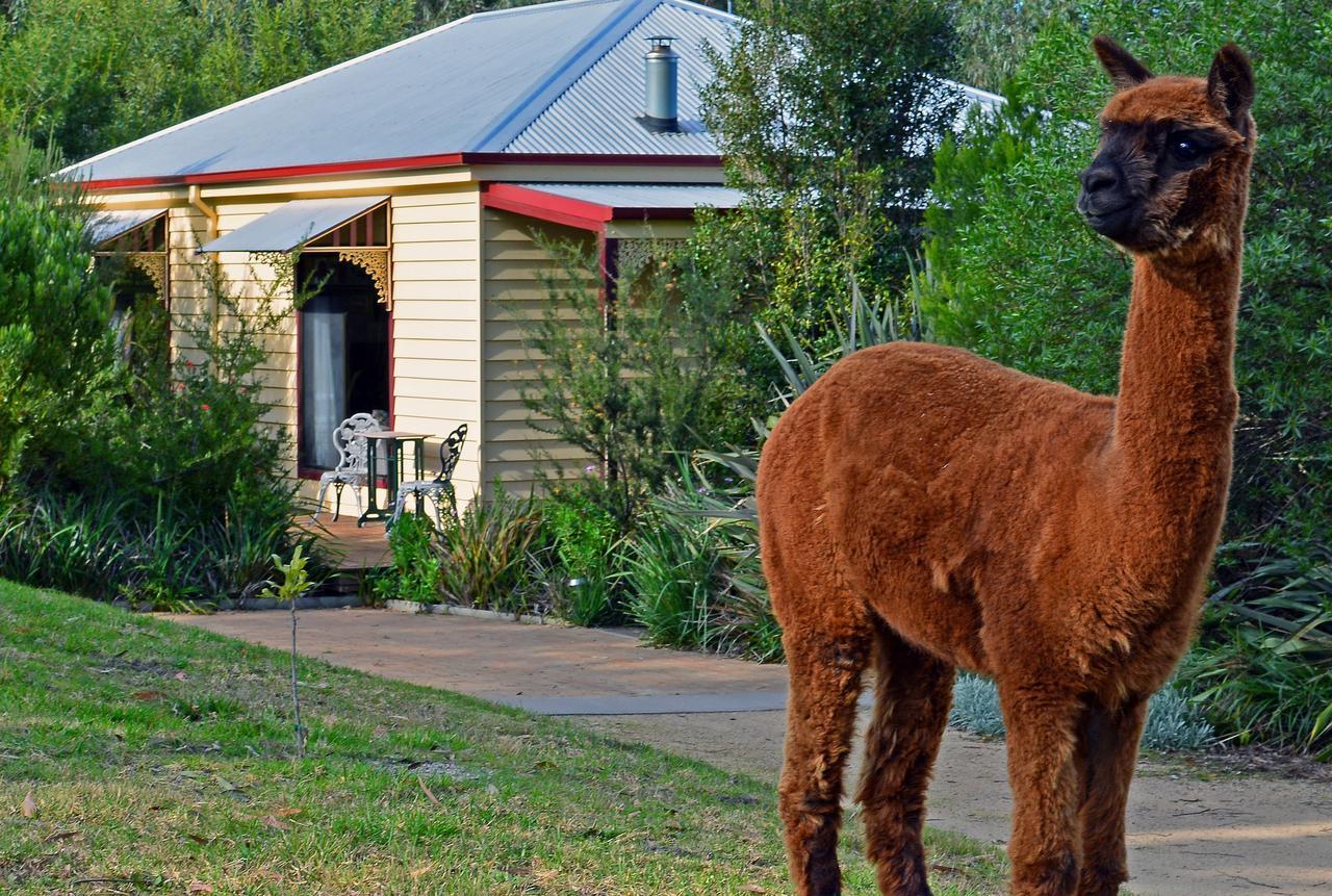 Araluen Park Cottages Lakes Entrance Luaran gambar