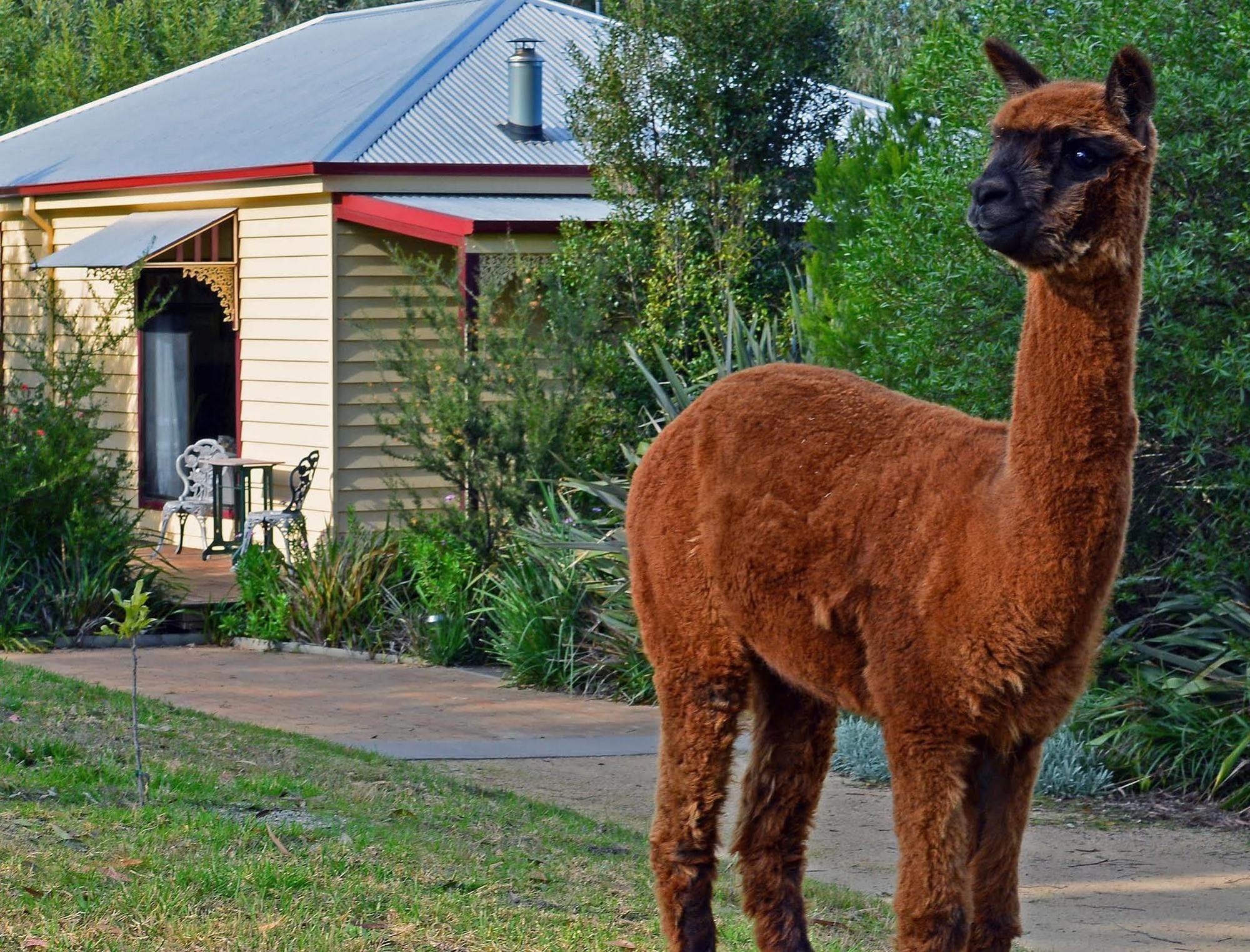 Araluen Park Cottages Lakes Entrance Luaran gambar